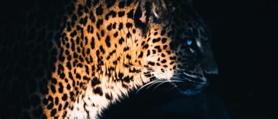 Yggdrasil partneri sa ReelPlay-om da puste Jaguar SuperWays iz Bad Dinga
